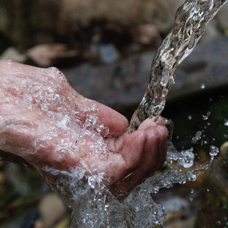 Rum Spring Water